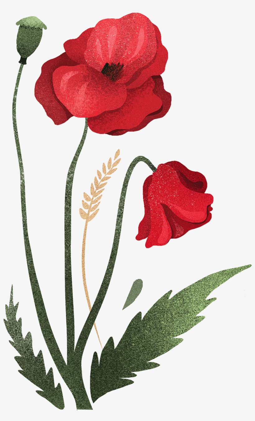 Save To Collection - Corn Poppy, transparent png download