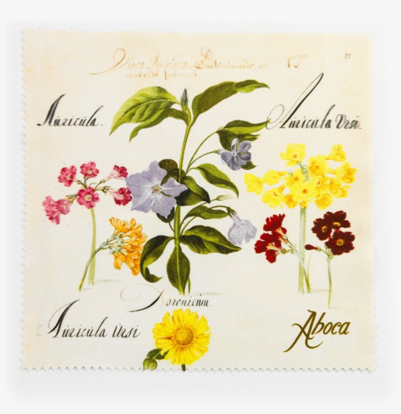 Picture Of Flower Cloth Periwinkle - Rosa Canina, transparent png download
