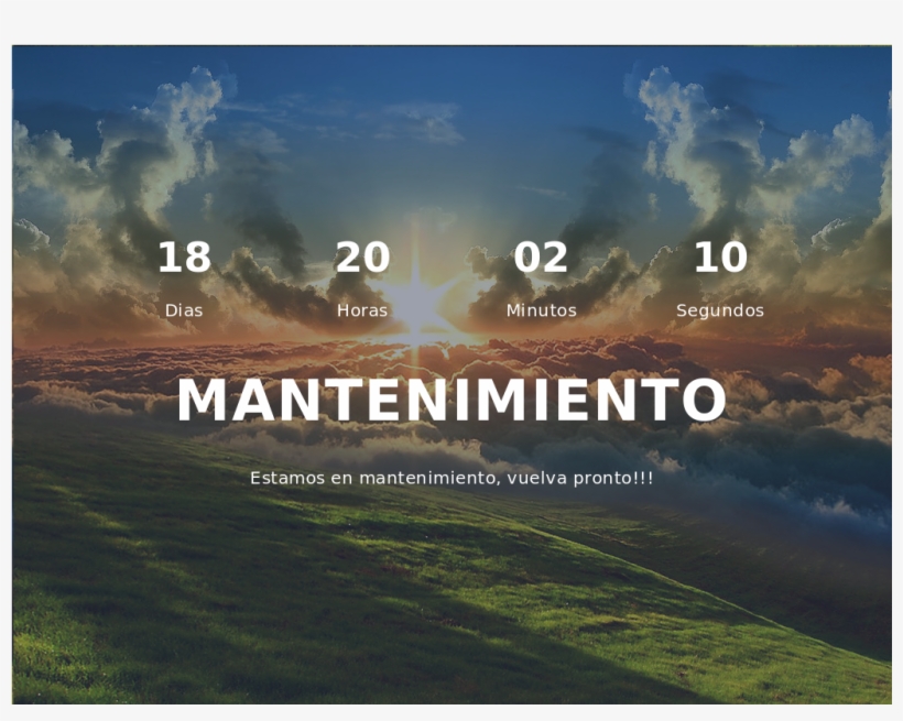 Grass, transparent png download