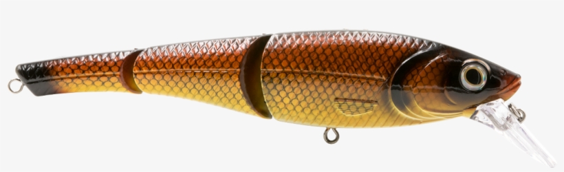 Head Hunter Magnum - Bait Fish, transparent png download