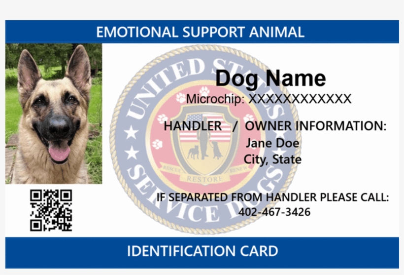 Old German Shepherd Dog, transparent png download