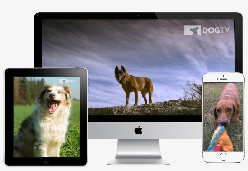 Imac 27, transparent png download