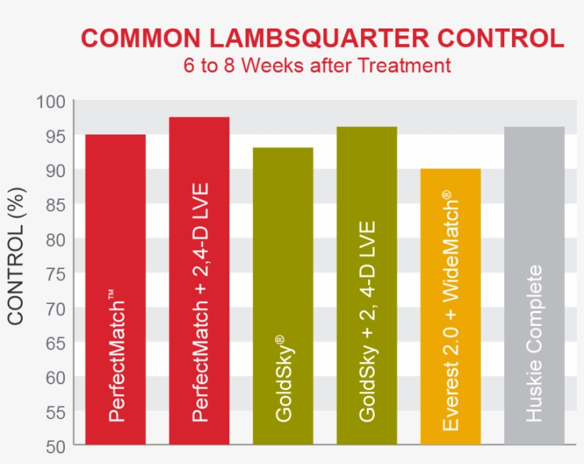 Canada Thistle Control - Parallel, transparent png download