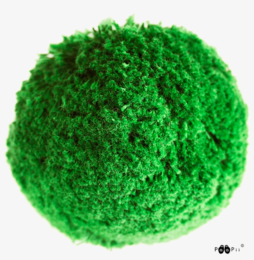 Cotton Pom Pom 7cm, Forest - Movilización Social Y Acciones Para El Desarrollo Sustentable, transparent png download