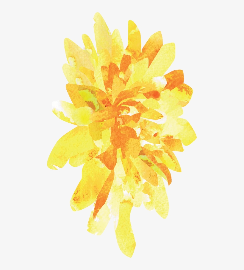 Watercolor Stationary Illustration Wedding September - Tagetes Patula, transparent png download