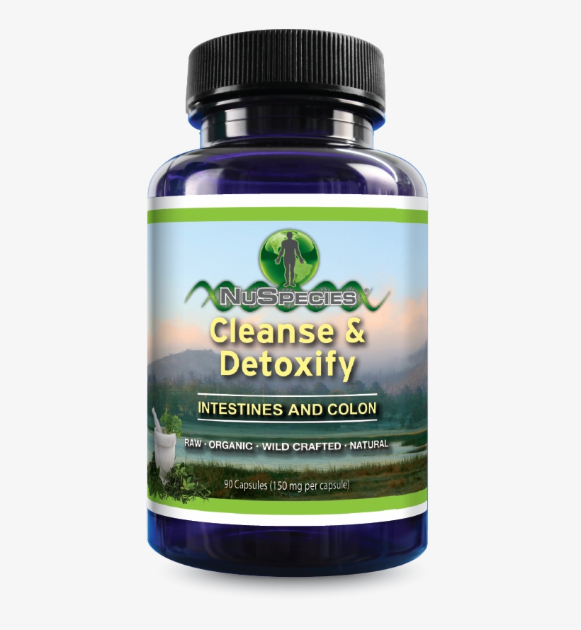 Cleanse & Detox Intestines And Colon - Stallion, transparent png download