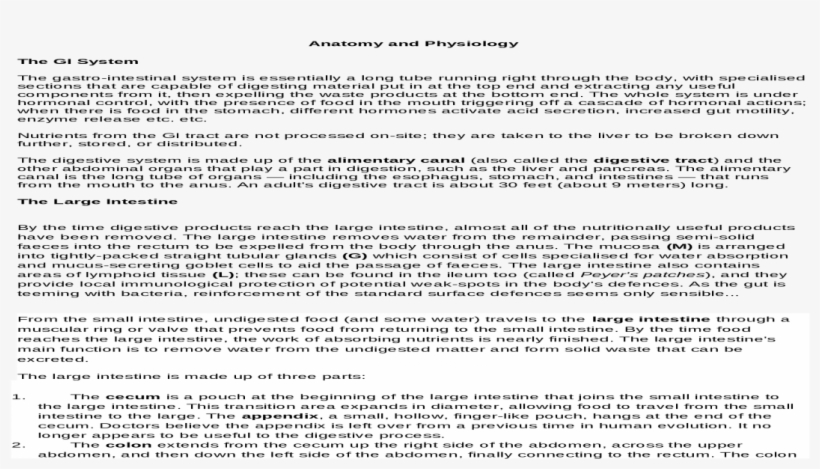 Document, transparent png download