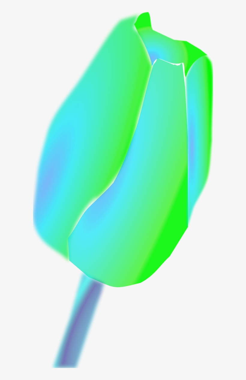 Vector Clip Art - Tulip, transparent png download