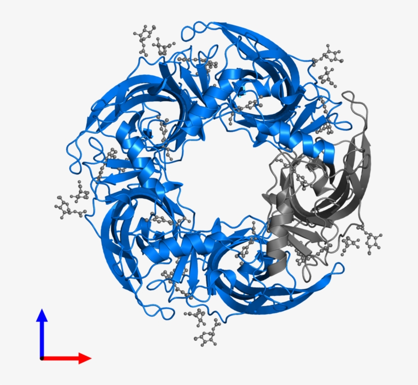 <div Class='caption-body'>pdb Entry 5afm Contains 4 - Circle, transparent png download