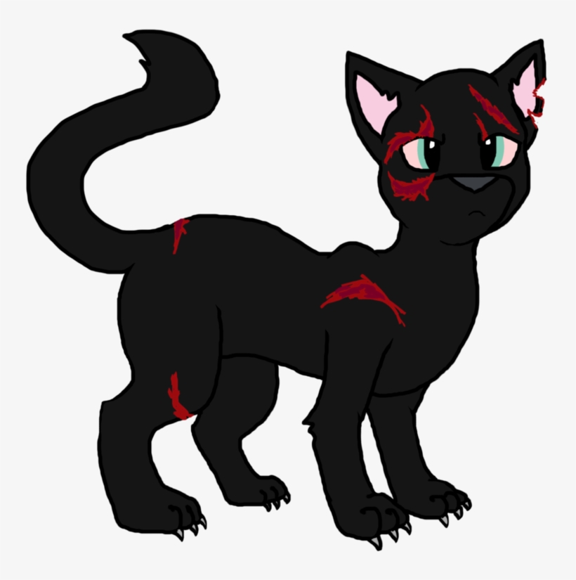 Slate Leader Of Slate S Clan By Raycat19-dazkvue - Slate The Unknown Flame, transparent png download