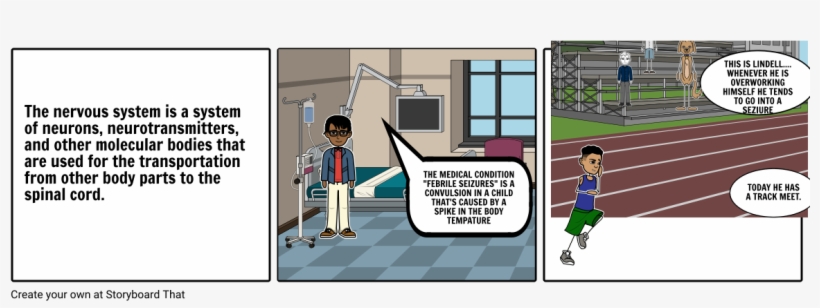 The Nervous System Is A System Of Neurons, Neurotra - Cartoon, transparent png download