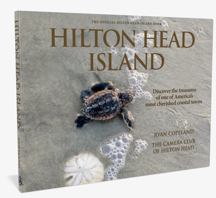 Your Shopping Cart - Leatherback Sea Turtle, transparent png download