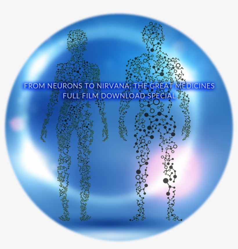 Experimental Film,experimental Media, New Media, Film, - Circle, transparent png download