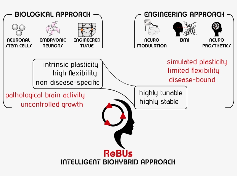 However, None Of The Proposed Paradigms Has Actually - Diagram, transparent png download
