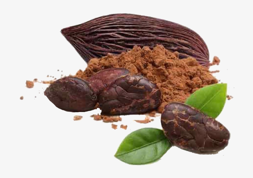 Cacao Y Chocolate Png, transparent png download