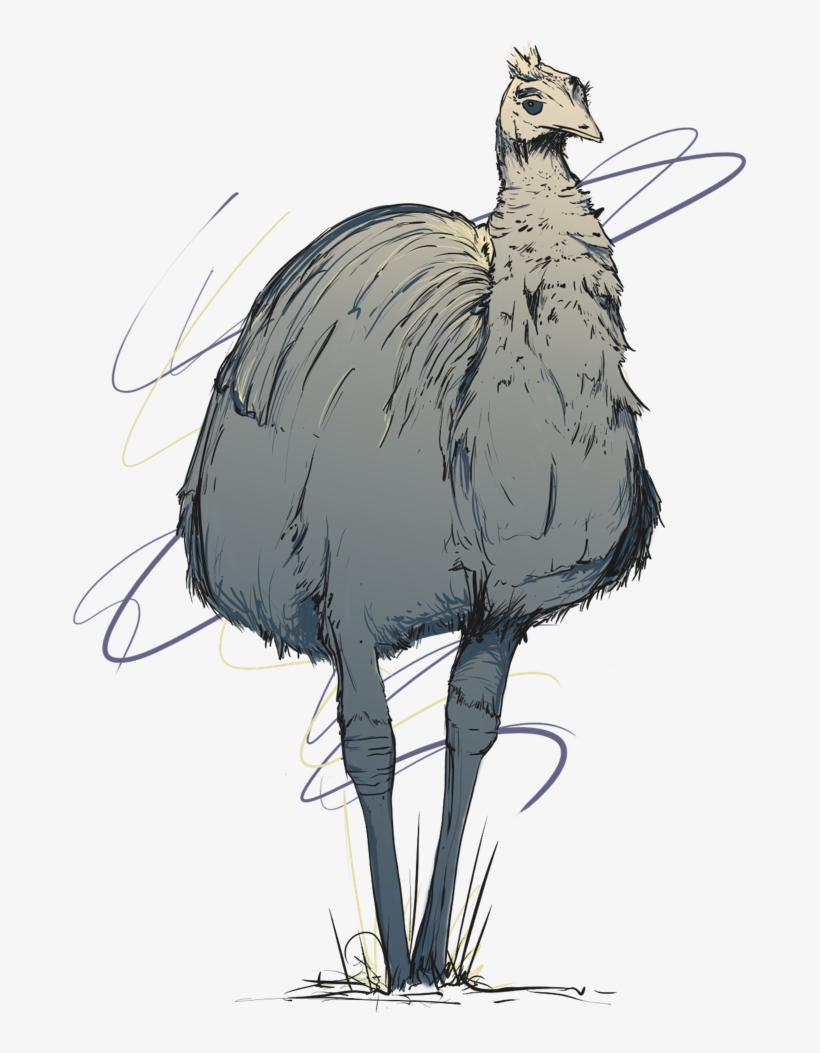 Emu, transparent png download