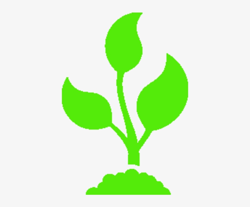 The Madrigal Integrated Farming And Training Program - Agriculture, transparent png download