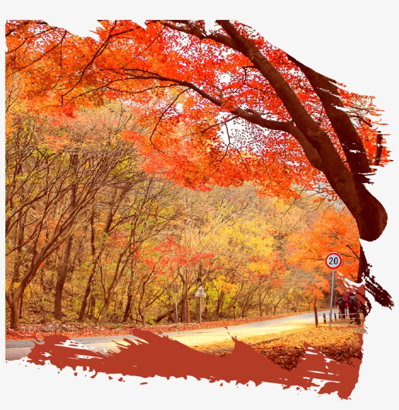 With Its Exceptional Customer Service And Ground-breaking - Grove, transparent png download