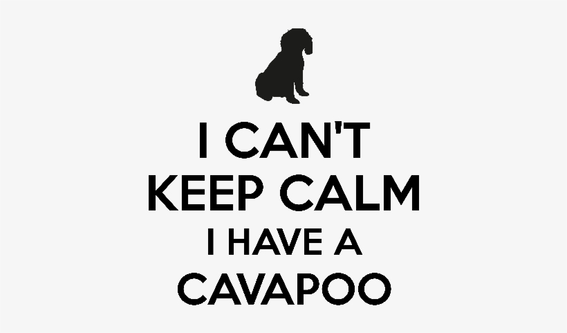 I Cant Keep Calm I Have A Cavapoo - Silhouette, transparent png download