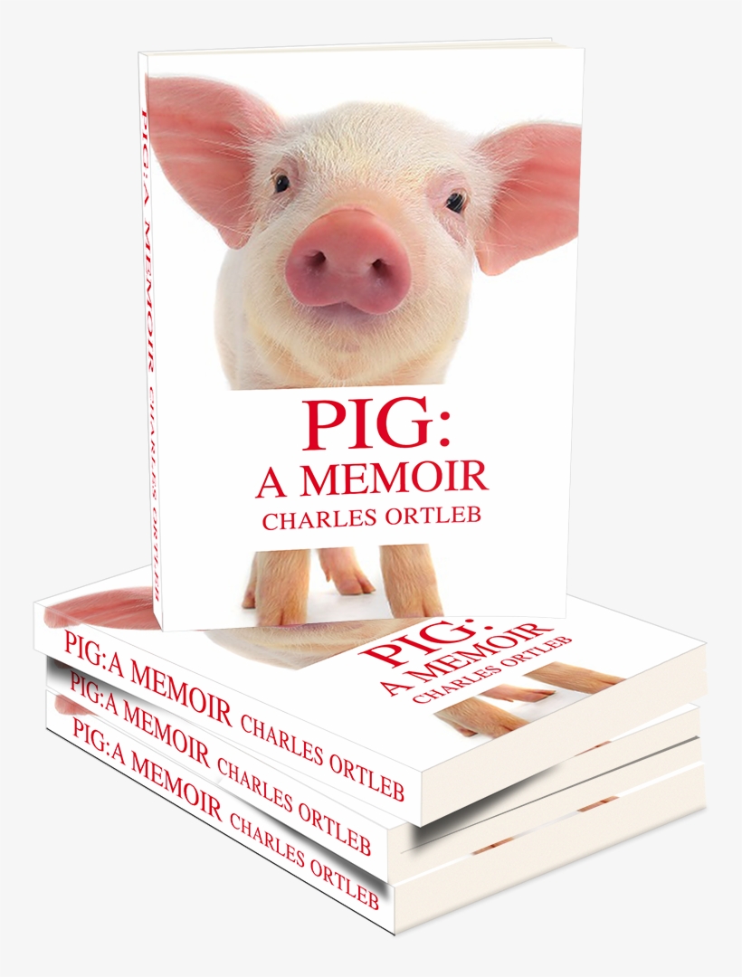 Domestic Pig, transparent png download