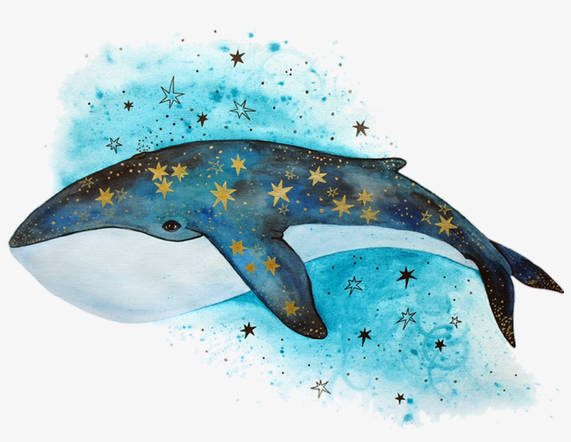 Tumblr Sticker - Кит Рисунок, transparent png download