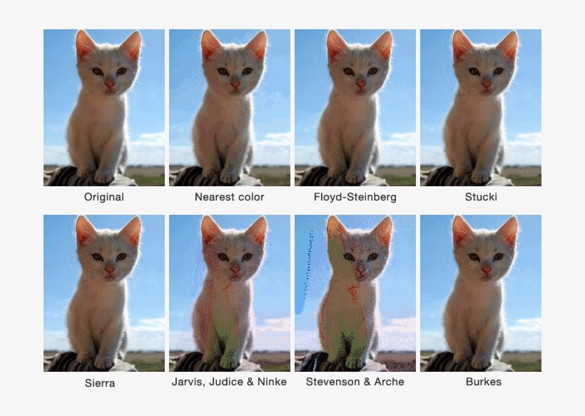 By Looking At The Quality Of The Image Created Using - Gif Dithering, transparent png download