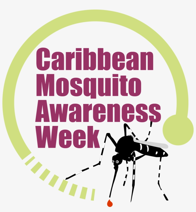 Creole - Graphic Design, transparent png download