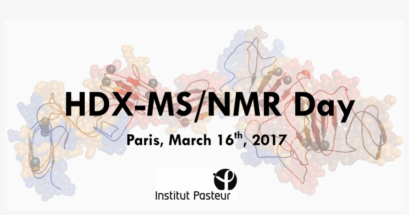 About - Pasteur Institute, transparent png download