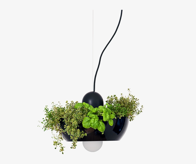 Well Light In Black Shade And Gloss Black Ring By Ryan - Kitchen Light Fixture Planter, transparent png download