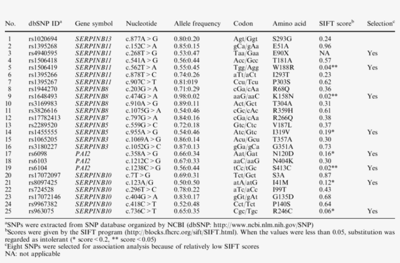 Summary Of Sift Analysis Of Missense Snps Localized - Document, transparent png download