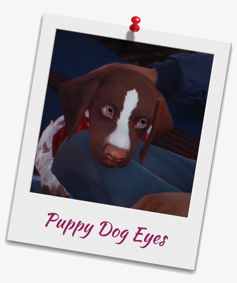 Lis2e2 Mushroom - German Shorthaired Pointer, transparent png download