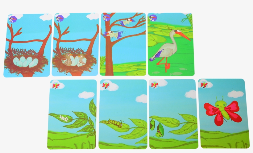 Gallery - Cartoon, transparent png download