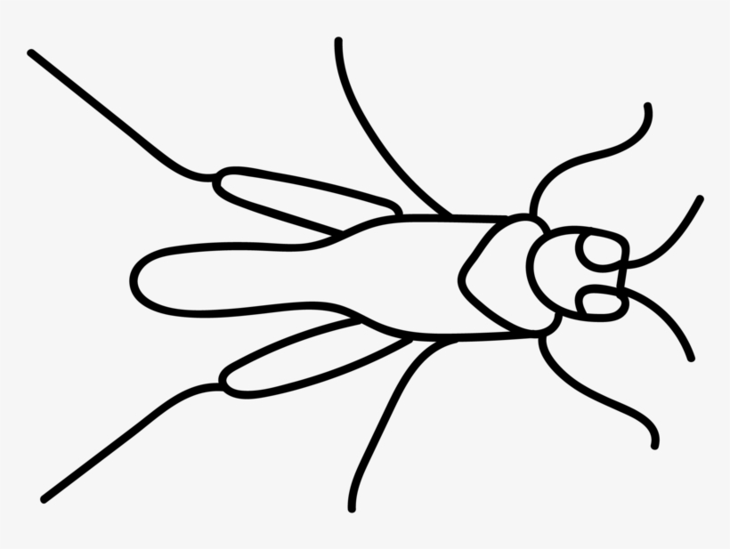 Ecogardens Urban Ecology Icon - Mosquito, transparent png download