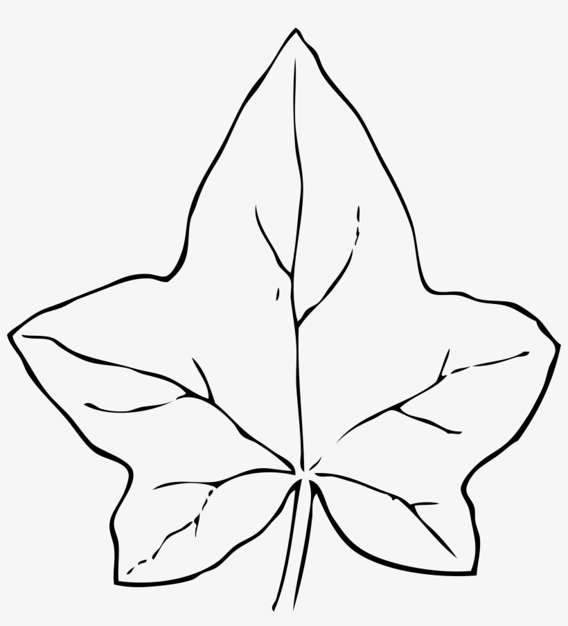 This Free Icons Png Design Of Ivy Leaf 2, transparent png download