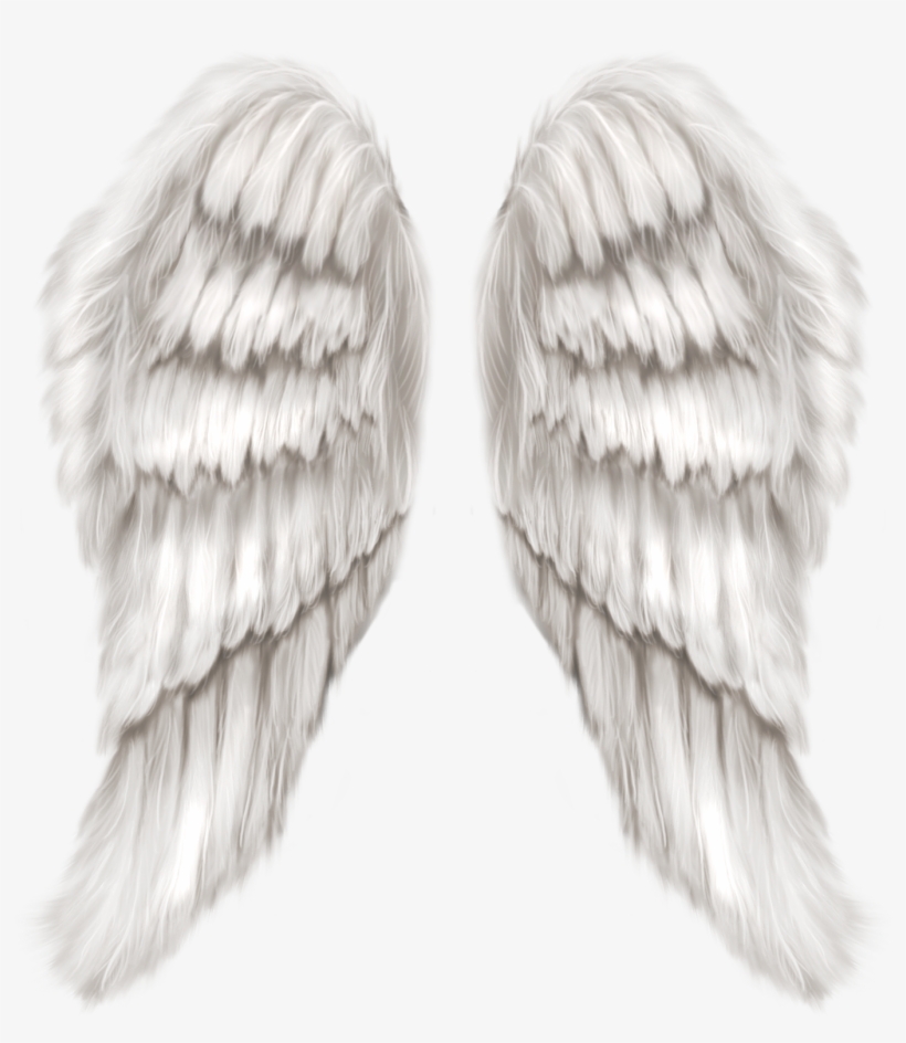 Angel Wings Transparent, transparent png download