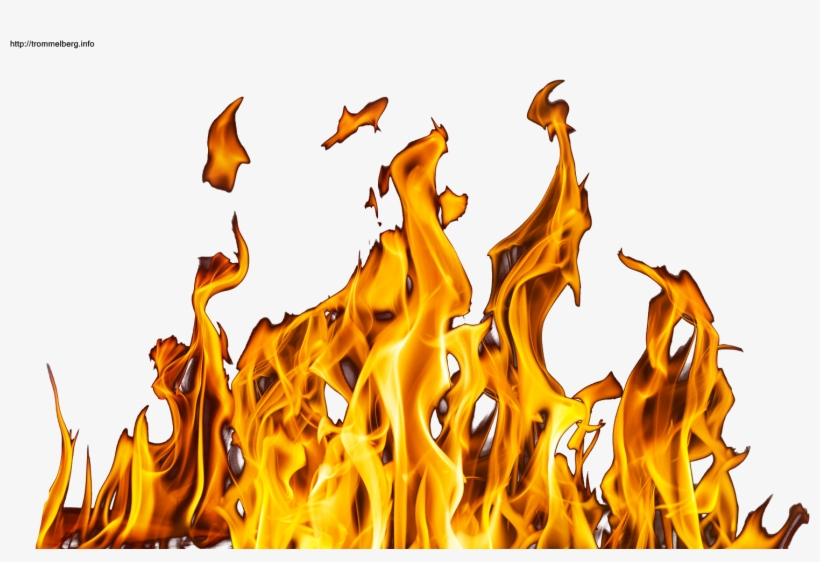 Fire Png Image Pngpix Realistic Christmas Tree - Cash Me Ousside Memes, transparent png download