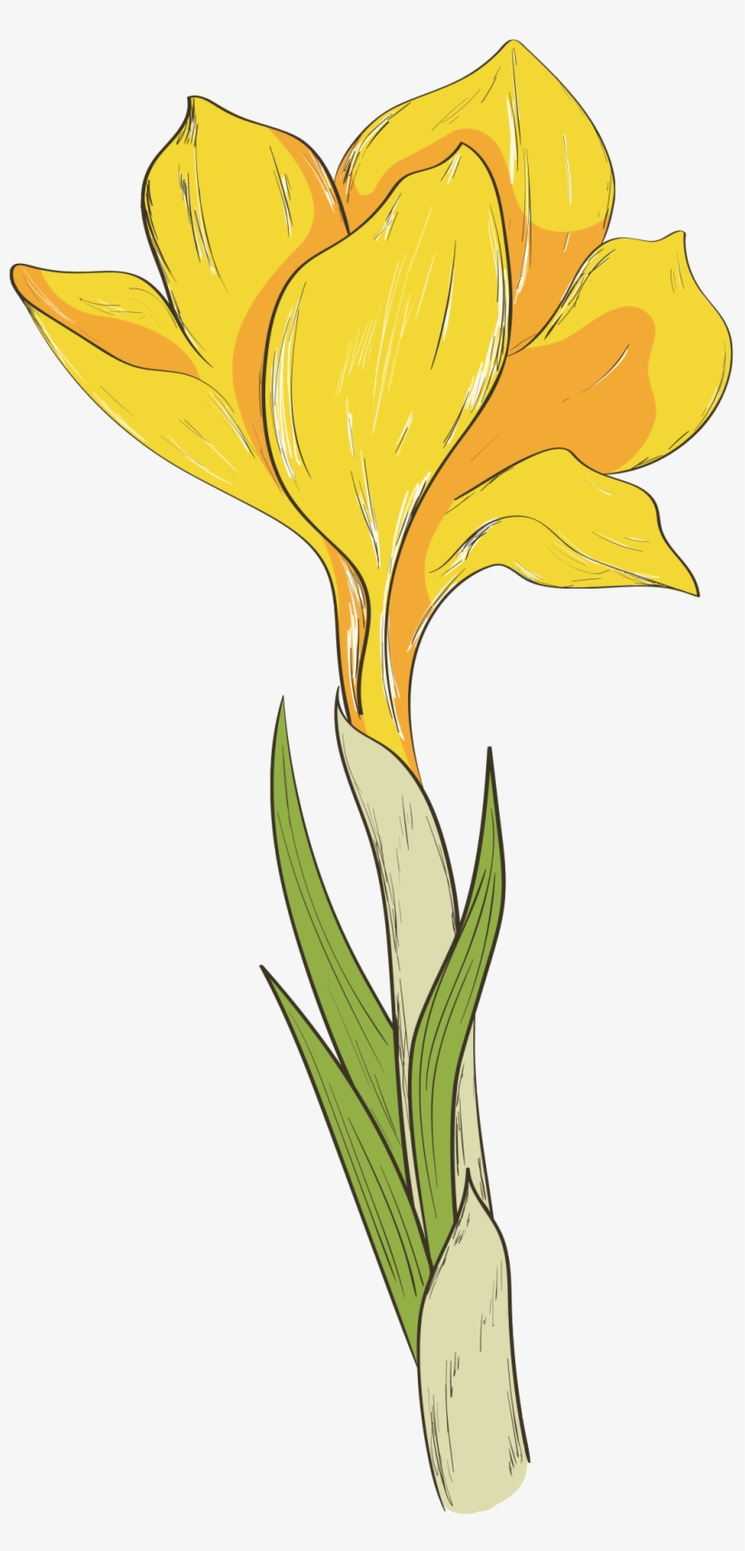 This Graphics Is Hand Drawn A Blooming Yellow Flower - Portable Network Graphics, transparent png download