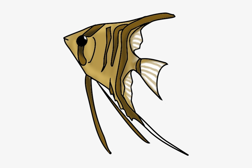 Orange Cat Fish Png - Fish, transparent png download