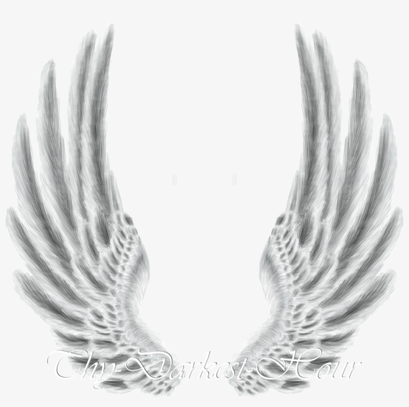 Wings - Wings Png For Photoshop, transparent png download