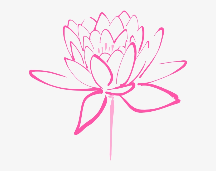 How To Set Use Pink Mixed Lotus Clipart, transparent png download
