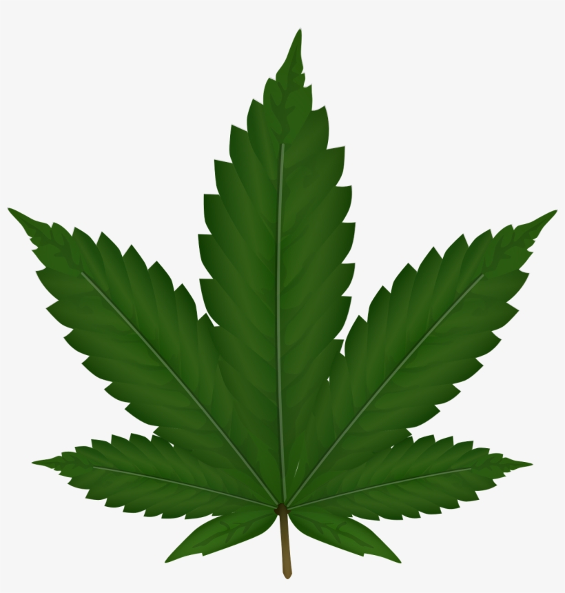 Cannabis Png, transparent png download