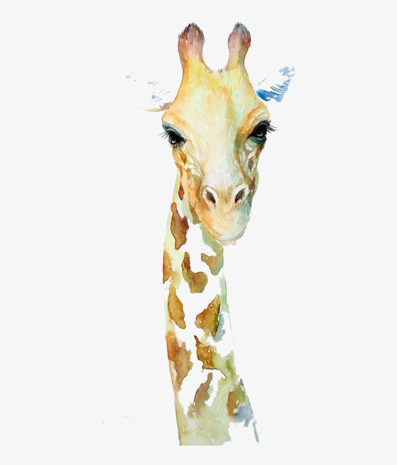 Northern Giraffe Watercolor Painting Art Drawing - Aquarelle Girafe, transparent png download