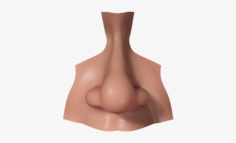 Nose Png Picture - Nose Png, transparent png download