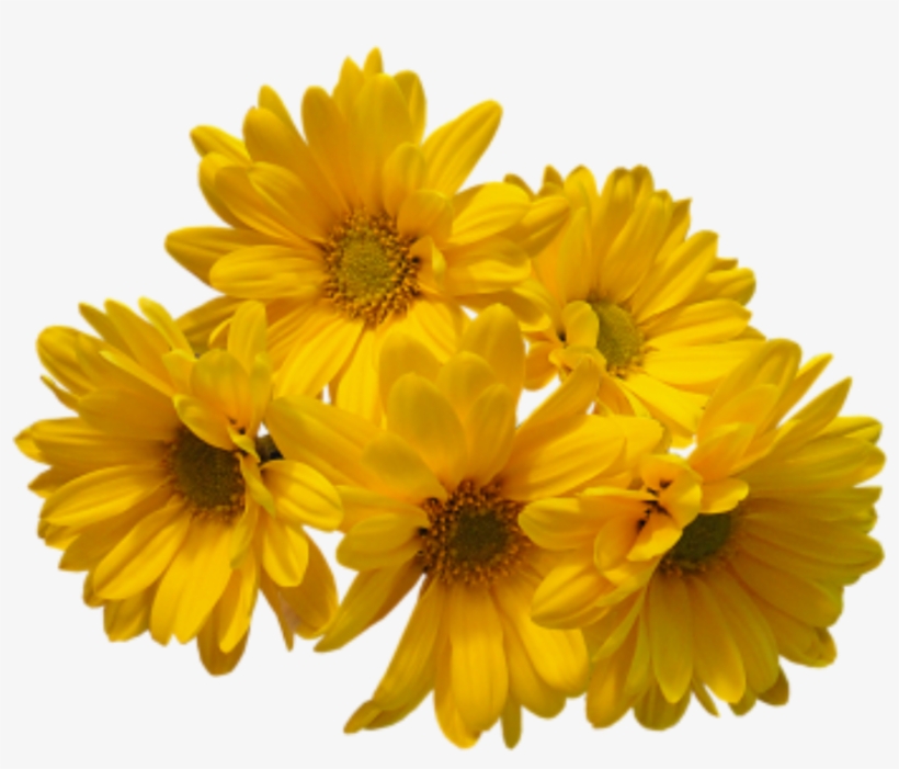 Yellow Flowers Bouquet Png Transparent Image - Yellow Flowers Png, transparent png download