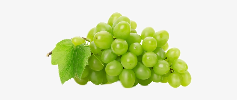 Grape Png Picture - Thompson Grapes, transparent png download