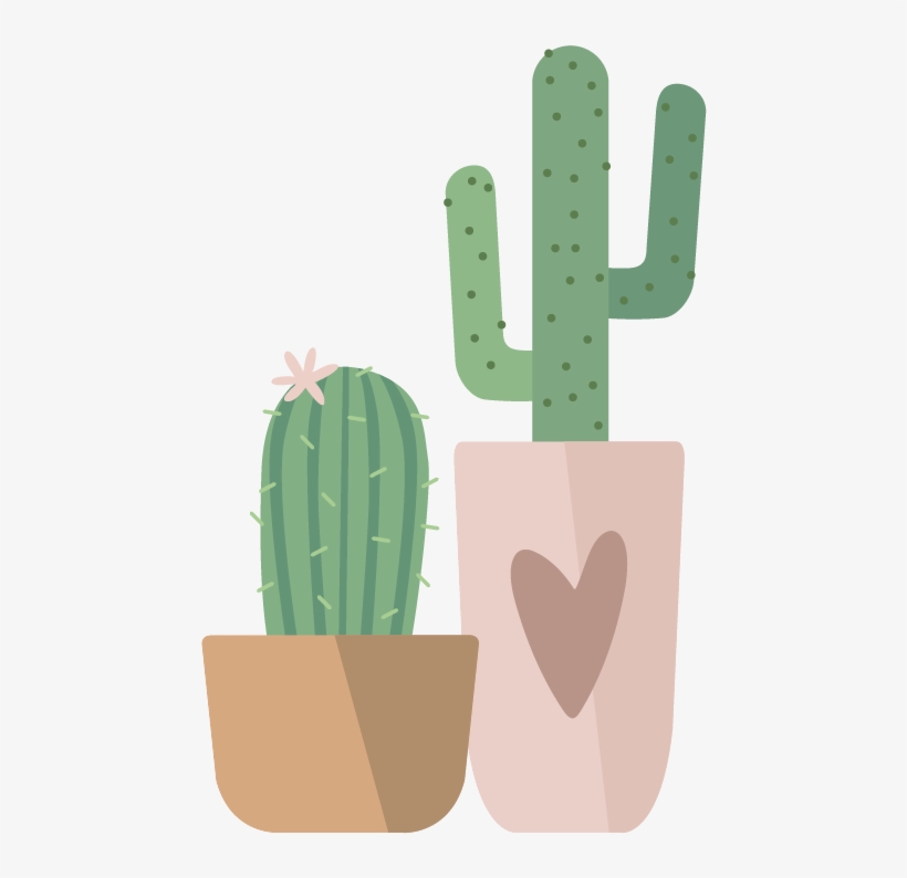 Jamie & Taylor October 6 - Hedgehog Cactus, transparent png download