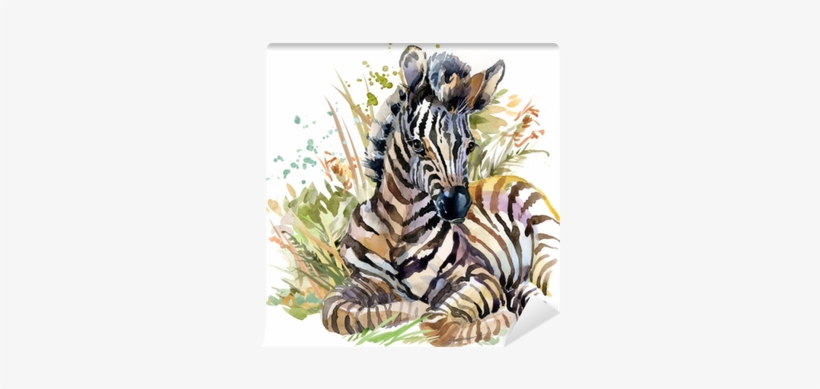 Wild Animals Watercolor Illustration Wall Mural • Pixers® - Watercolor Mother And Baby Tiger, transparent png download