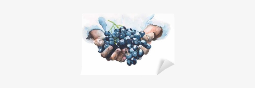 Grapes In Hands Watercolor Painting Illustration Isolated - There Is No Wine If Grapes Are Not Pressed, transparent png download