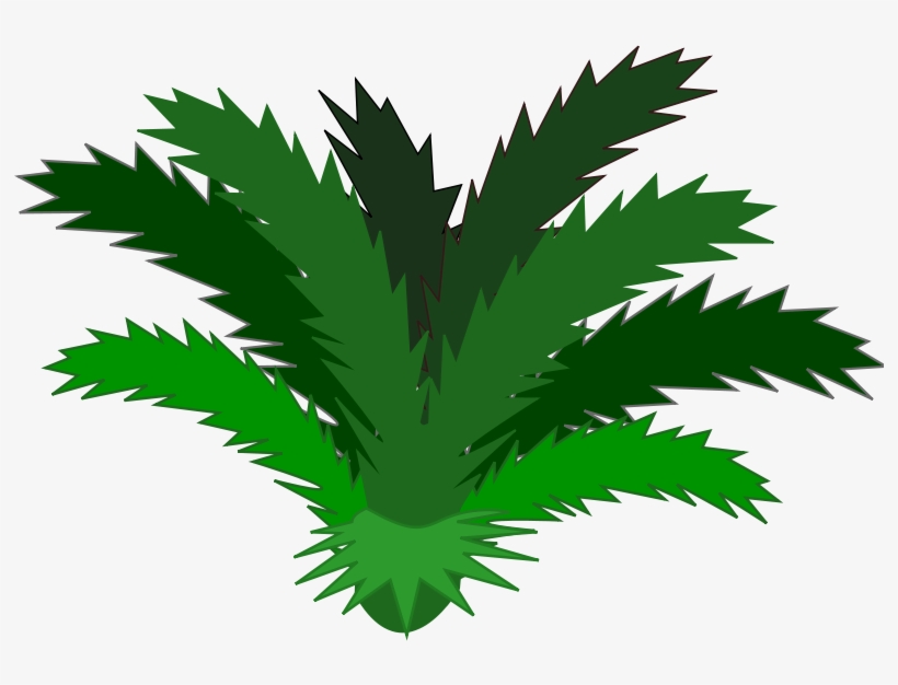 Single - Jungle Plants Clip Art, transparent png download