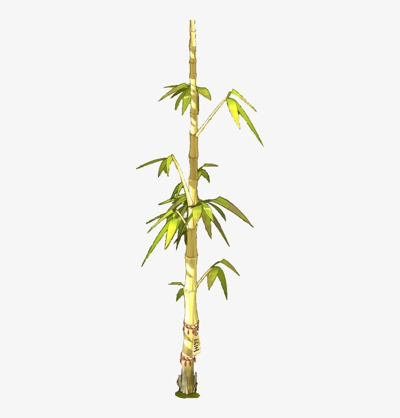 Holy Bamboo - Tree, transparent png download